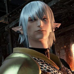 Haurchefant Greystone (XIV)