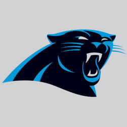 Carolina Panthers (NFL)